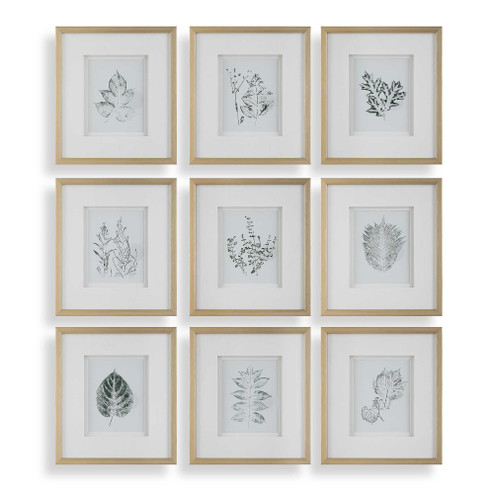 Uttermost Nature's Script Framed Botanical Prints Set/9 (85|32449)