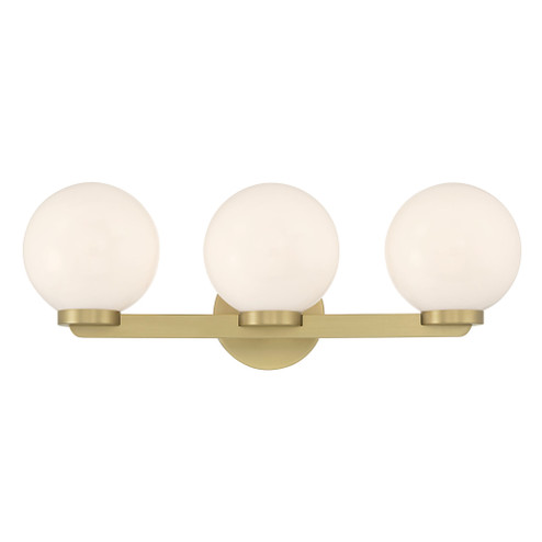Ardeva 22'' Wide 3-Light Vanity (670|97003-VB)