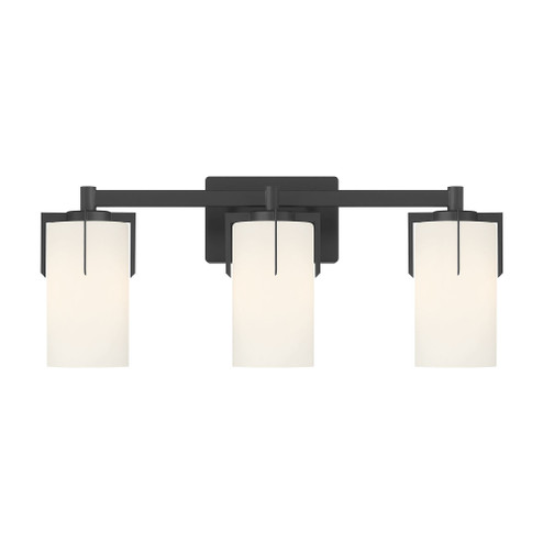 Froselle 22'' Wide 3-Light Vanity (670|65003-MB)