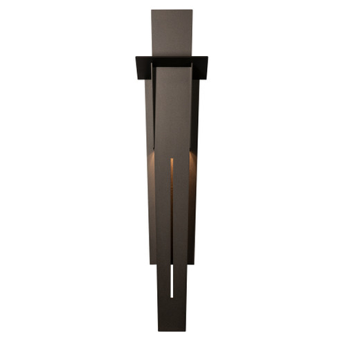 Linea Large Outdoor Sconce (65|302026-SKT-80)