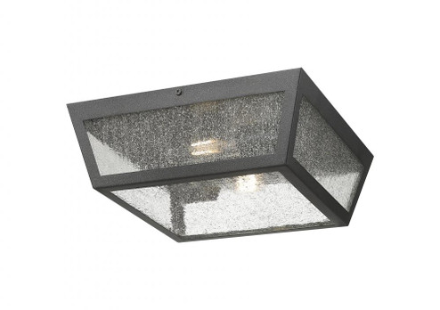 Madison - 2 Light - 12 inch - Matte Black - Coastal Outdoor Flush Mount (3442|9952-1F-BK-12-SDY)