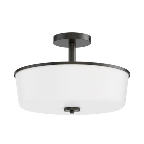 Fuller-Flush Mount (19|5695WTBK)