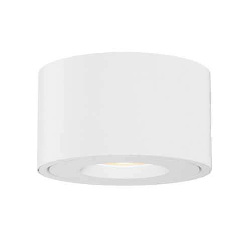 Fulcrum-Flush Mount (19|86250WT)