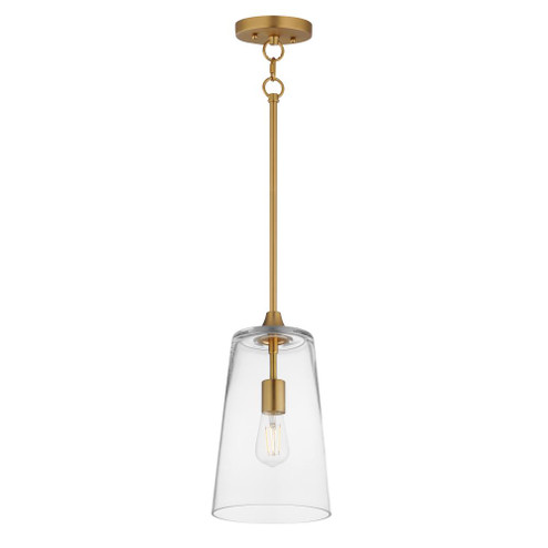 Hudson-Single Pendant (19|12886CLNAB)