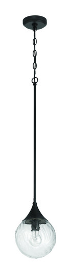 Reflection 1 Light Mini Pendant in Flat Black (20|61291-FB)