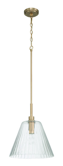 Pleated 1 Light Pendant in Premium Bronze (20|61192-CPZ)
