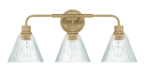 Pleated 3 Light Vanity in Premium Bronze (20|61103-CPZ)