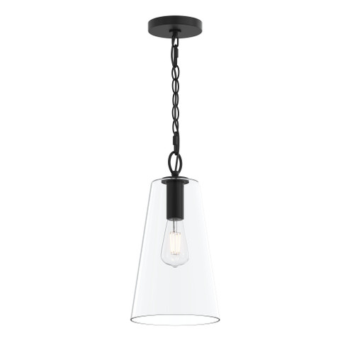 Jheni One-Light Pendant with Clear Glass Shade (149|P500511-31M)