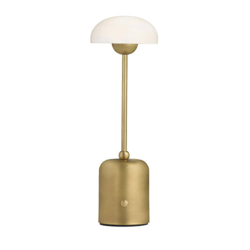 Lumi Rechargeable Accent Lamp (314|PAC05)