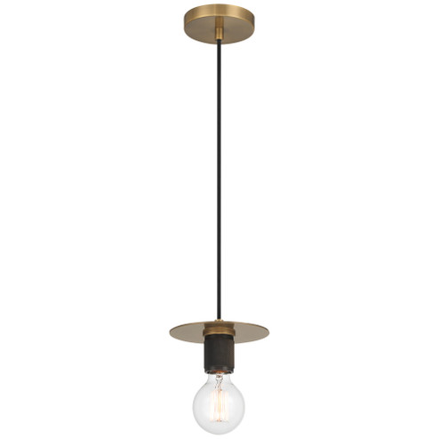 1 Light Pendant (7|62338-AB)