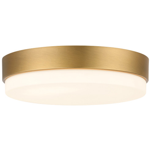 LED Flush Mount (100 pack) (7|20824LEDD-ABB/OPL)