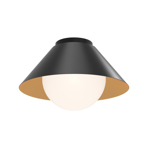 Remy (461|FM485214MBOP)