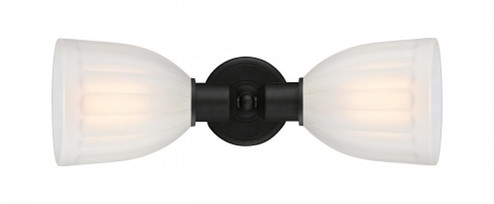 Brookfield - 2 Light - 18 inch - Matte Black - Linear Bath Vanity Light (3442|900-2W-BK-G441)
