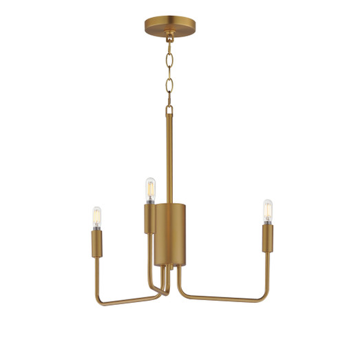 Abner 3-Light Chandelier (19|24863NAB)