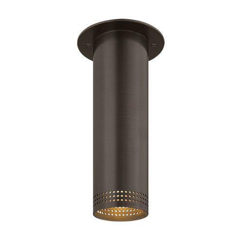 Berg Flush Mount (52|C1507-BRZ)