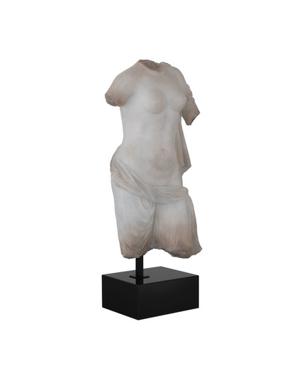 Cyprus Torso on Metal Stand (92|1200-1086)
