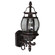 Classico 1-Light Outdoor Wall Light (12|AC8090RU)