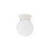 1 Light Flush Mount (42|5569MN)