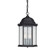 3 Light Outdoor Hanging Lantern (42|9836BK)