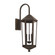 3 Light Outdoor Wall Lantern (42|926932OZ)