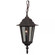 Straight Glass Cast 1 Light Outdoor Pendant in Rust (20|Z151-RT)