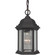 Hex Style Cast 1 Light Outdoor Pendant in Textured Black (20|Z291-TB)