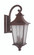 Argent II 3 Light Large Outdoor Wall Lantern in Aged Bronze (20|Z1374-AG)