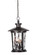 Large Pendant (20|Z7121-OBG)