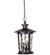 Summerhays 18.5'' 3 Light Outdoor Pendant in Oiled Bronze Gilded with Clear Hammered Glass (20|Z7121-OBG)