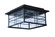 Dorset 2 Light Outdoor Flushmount in Aged Bronze Brushed (20|Z7837-ABZ)