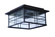 Dorset 2 Light Outdoor Flushmount in Aged Bronze Brushed (20|Z7837-ABZ)