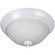 Pro Builder 15'' 3 Light Flushmount in White (20|XP15W-3W)