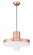 1 Light LED Pendant (20|P842MRG-LED)