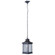 Gentry 1 Light Medium Outdoor Pendant in Midnight (20|Z3211-MN)