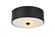 Hazen 2 light 12 inch Flat Black flush mount (758|LD6024)