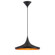 RAMOS,1LT PENDANT,BLACK (4304|20439-019)
