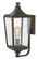 Medium Wall Mount Lantern (87|1294OZ)