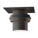 Twilight Dark Sky Friendly Outdoor Semi-Flush (65|364903-SKT-20)