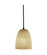 Mini 1-Light Pendant (254|FSN-8815-10-WEVE-MBLK-RIGID)
