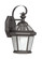1 Light Bronze Outdoor Wall Lantern (108|2061-07)