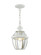 1 Light White Outdoor Chain Lantern (108|2152-03)