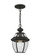1 Light Black Outdoor Chain Lantern (108|2152-04)
