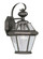 1 Light Bronze Outdoor Wall Lantern (108|2161-07)