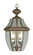 2 Light BZ Outdoor Chain Lantern (108|2255-07)