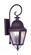 2 Light Bronze Outdoor Wall Lantern (108|2551-07)