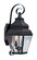 2 Light Bronze Outdoor Wall Lantern (108|2591-07)