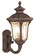1 Light IB Outdoor Wall Lantern (108|7652-58)