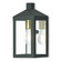 1 Lt BZ Outdoor Wall Lantern (108|20581-07)