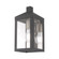 1 Lt Scandinavian Gray Outdoor Wall Lantern (108|20581-76)