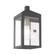 1 Lt Scandinavian Gray Outdoor Wall Lantern (108|20582-76)
